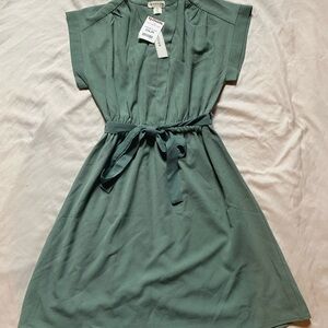 Monteau Sage Green Textured Dress
